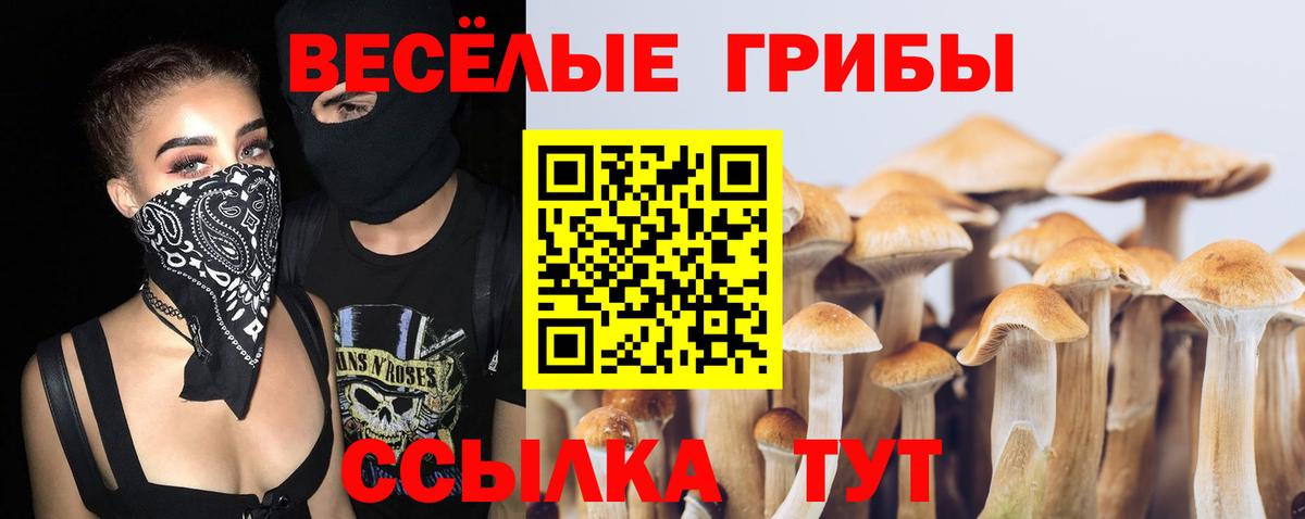 Галлюциногенные грибы Cubensis Кемерово