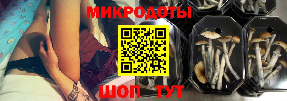 Кемерово  Галлюциногенные грибы Psilocybine cubensis  Вход с VPN 